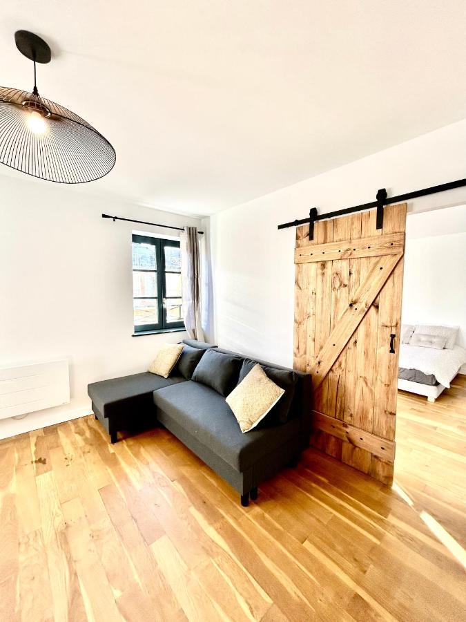 Apartamento Le Beau Briand Proche Gare Parking Facile Montauban Exterior foto